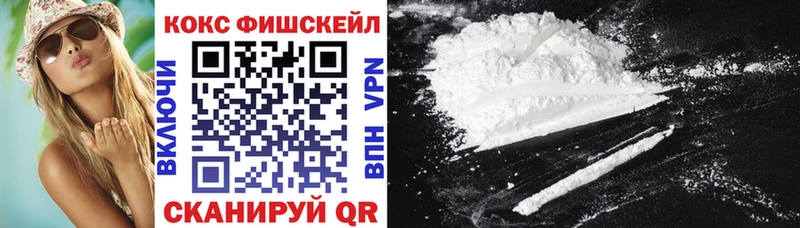 КОКАИН Fish Scale где продают Ельня