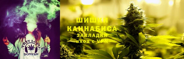 spice Верея