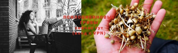 крисы Верхнеуральск