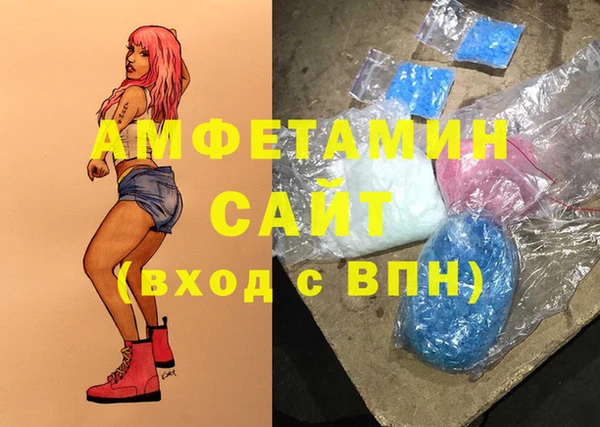 гидра Володарск