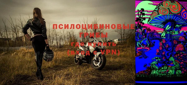гидра Володарск