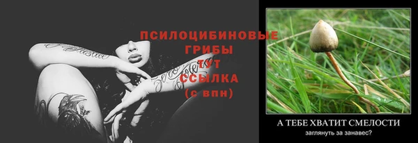 spice Верея