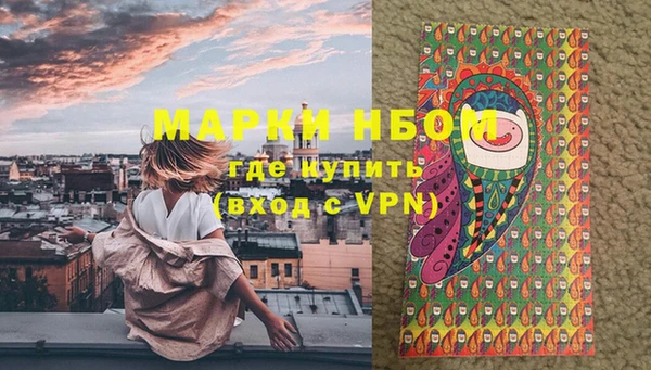 гидра Володарск