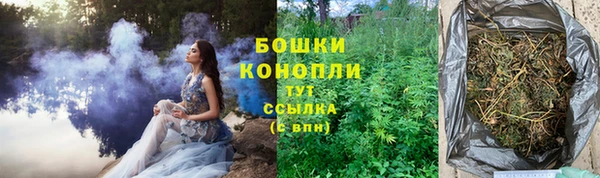 2c-b Богородицк